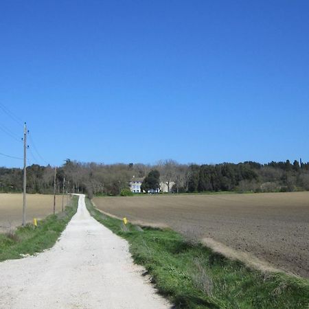 Chambres D'Hotes Domaine Saint-Joly Lasbordes Eksteriør billede
